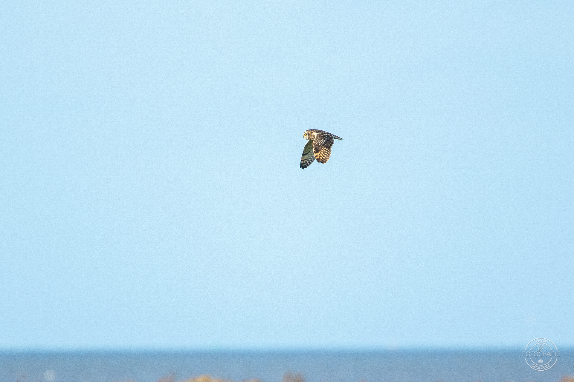 16 oktober 2022 162052 1R2A2169